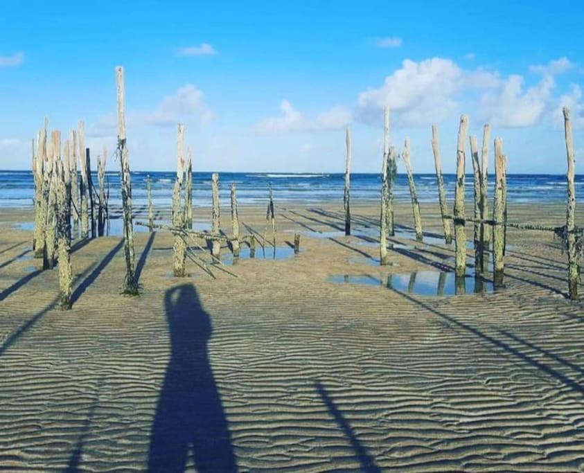 Maravilhosa Mansao Na Praia De Ipioca Maceió Eksteriør bilde